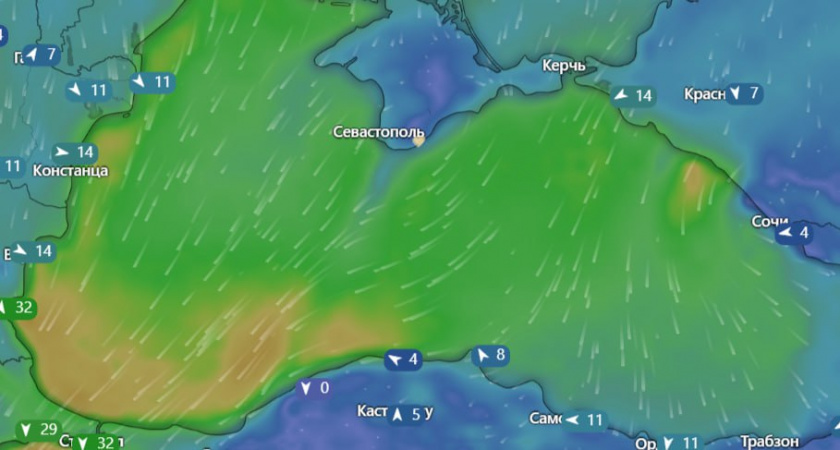 Черное море несет мазут к курортам Турции