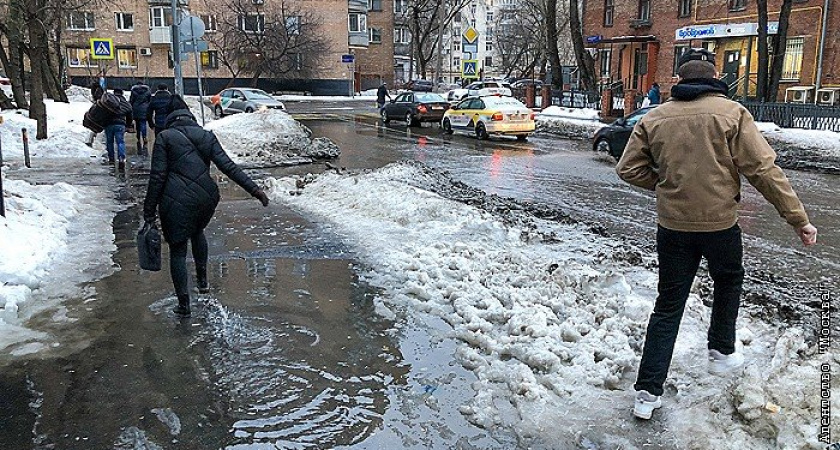 Зима исчезнет: Вильфанд рассказал о погоде в феврале