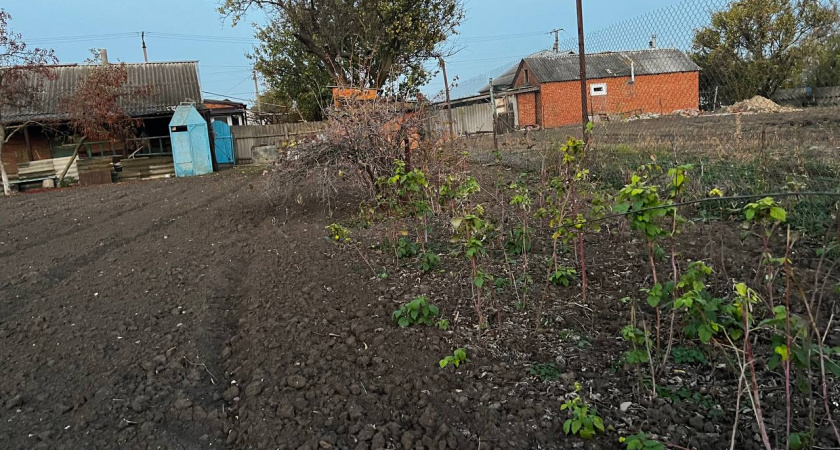 Каким будет лето 2025 после аномально теплой зимы: эксперты ответили, к чему нужно готовиться садоводам