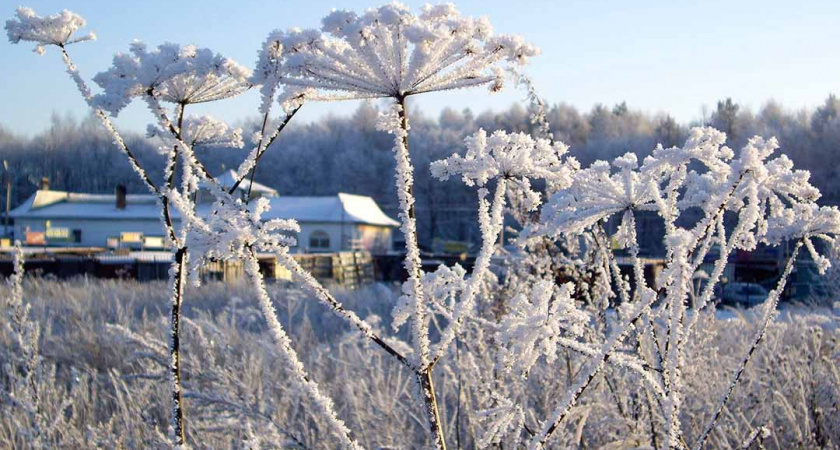 Весной ударят аномальные морозы: прогноз погоды на март 