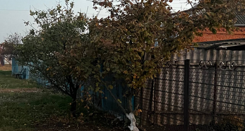 Дачники будут шипеть от ярости: с началом весны на дачных участках начнут сносить заборы