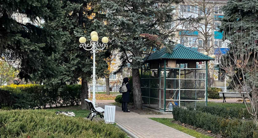 Встретят любовь всей жизни на этой неделе: Венера выбрала трех счастливчиков - любимчики февраля