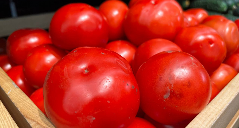 С пару кустов - ванна томатов: такой приземистый гибрид щедро осыпет все вокруг помидорами даже в короткое лето