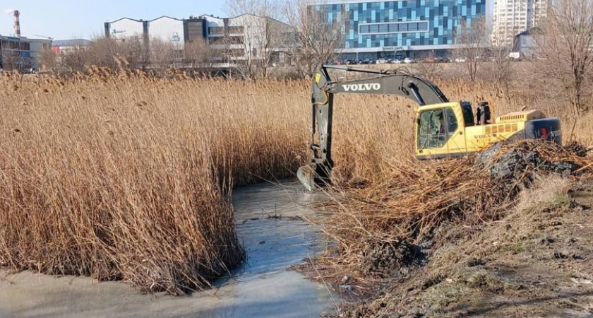 Животные могли замерзнуть: подрядчик начал спускать воду в Северном пруду в Новороссийске вопреки указаниям экологов
