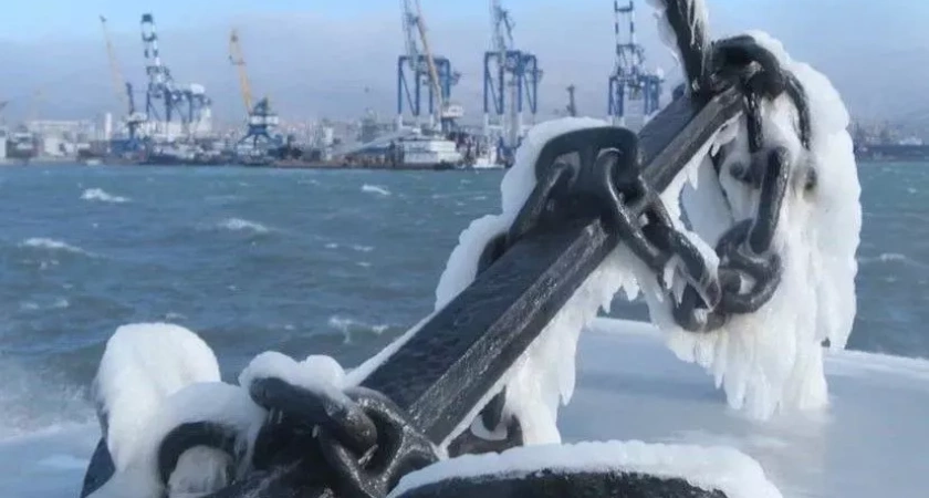 Разбушевавшаяся стихия: ураган в Новороссийске повалил деревья и оставил город без света