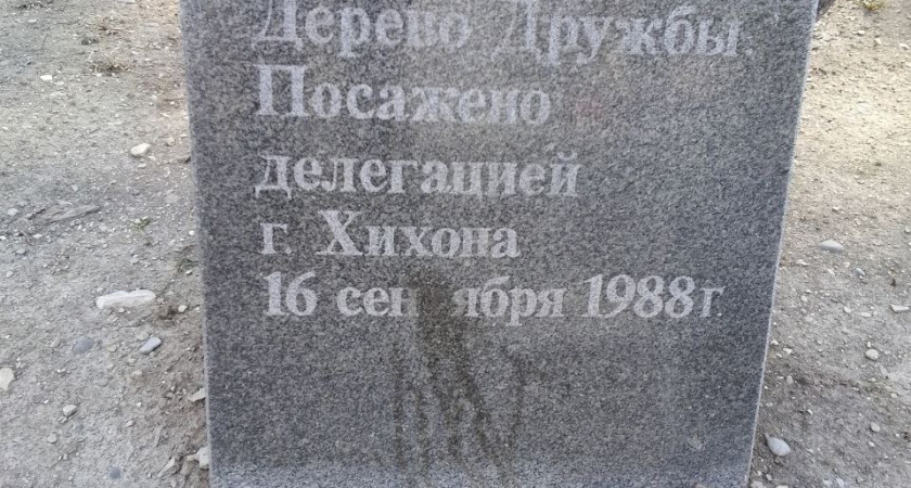 «Гадят в святом месте!»: новороссийцы возмущены выгулом собак на площади Героев