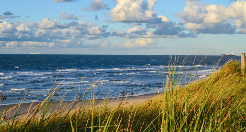 «Море? Спасибо, не надо!» — Пляжи Краснодарского края, где плавают не рыбы, а пакеты с мусором