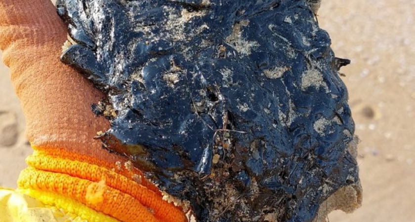 На 11 пляжах Анапы зафиксированы повторные выбросы мазута