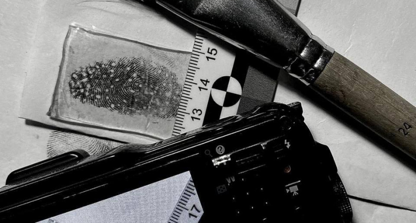 Незваный гость: в Новороссийске мужчина украл телефон у спящей пенсионерки