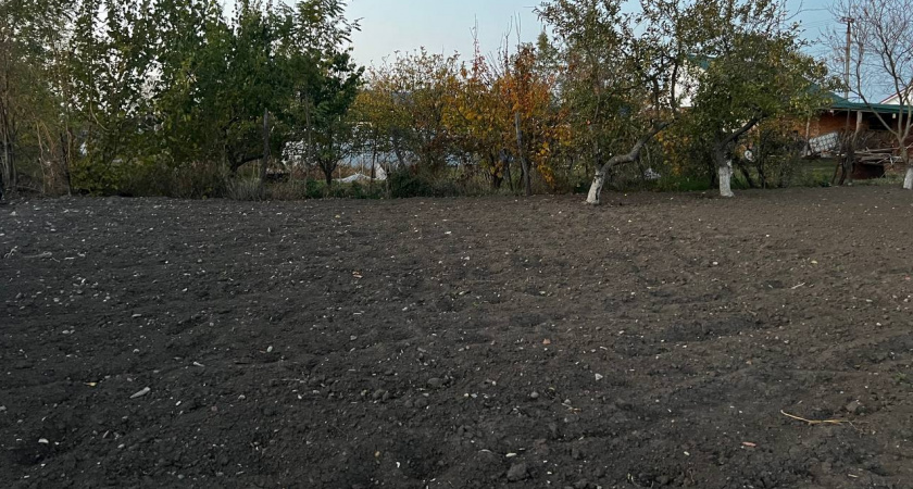 Лишатся земли: гражданам, у кого участок в собственности - новое суровое правило с 5 марта