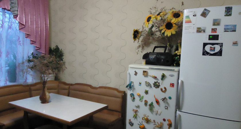 80 г на 1 литр – из холодильника пахнет цветами: неприятный запах больше не вернется