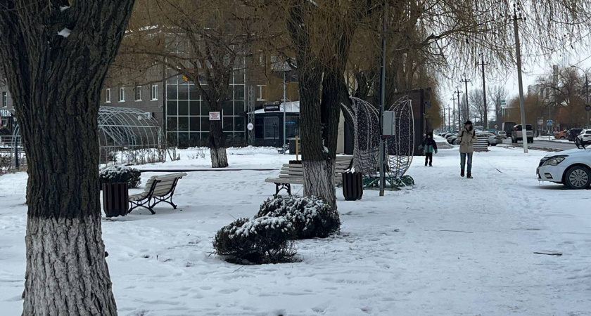 Каким будет лето 2025 года после аномально жаркой зимы: синоптики поделились, чего ждать россиянам