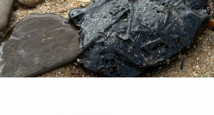 Огромную партию мазута выбросило на побережье Темрюкского и Анапского районов