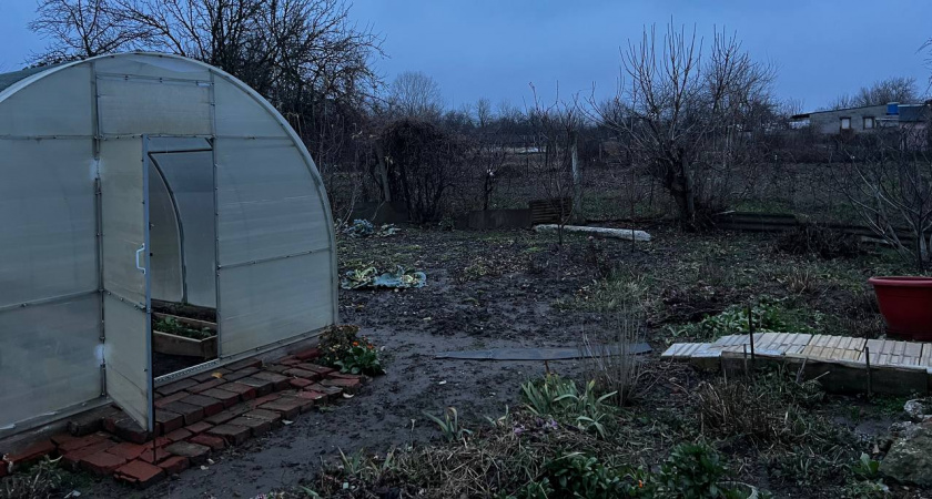 Всего 2 л на ведро — и «каменная» почва станет легкой и рыхлой: поделился эксперт