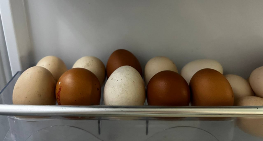 Половина чайной ложки на кастрюлю — и куриные яйца даже чистить не нужно: скорлупа отлетает сама