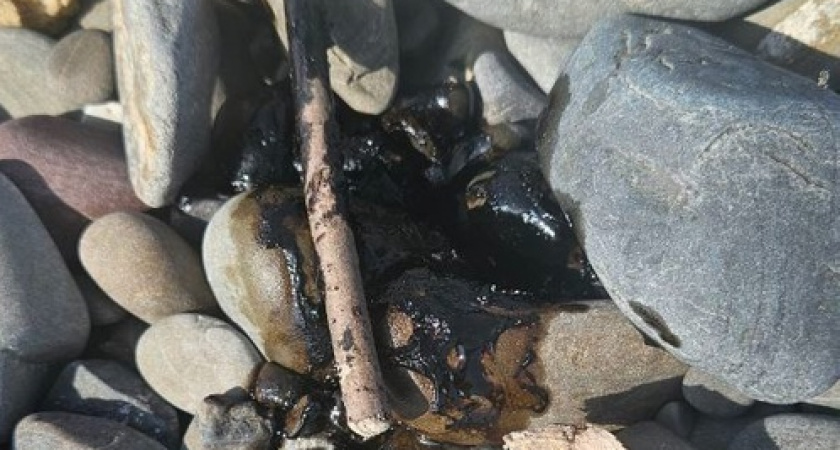 Горожане заметили следы мазута на пляжах в Новороссийске и окрестностях