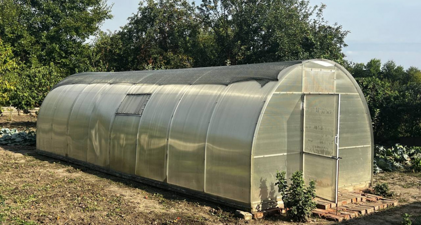 Мартовская аномальная жара изменит сроки для огородников: когда лучше всего сажать помидоры и картошку - список дат