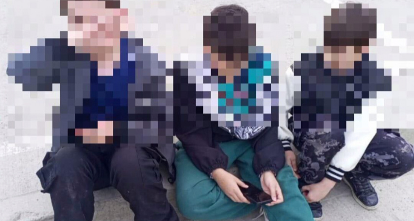 В Борисовке под Новороссийском дети "кошмарят" местных жителей - лезут в чужие дворы, пинают двери и дразнят собак