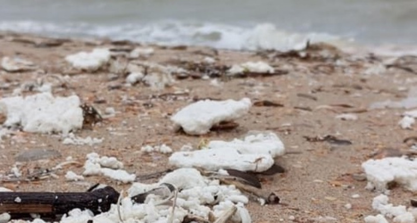 Авария в порту или мойка танков: экологи предположили, откуда на пляжах Анапы появилось пальмовое масло