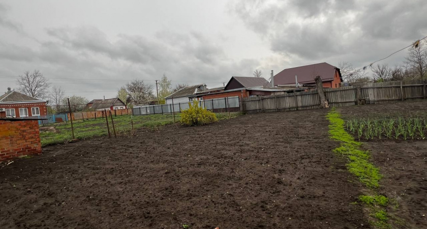 Осушит выгребную яму в 3 глотка: этот природный ассенизатор - настоящий водохлеб, выкачивает до 300 литров в день