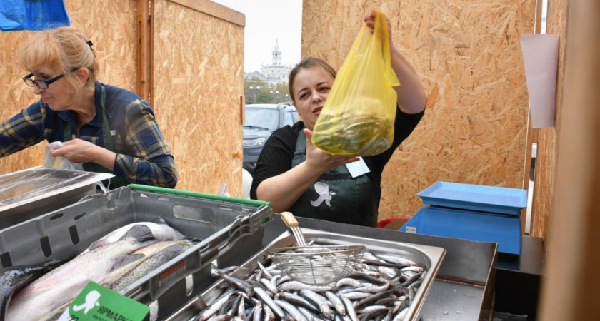 Турция начала покупать новороссийскую хамсу
