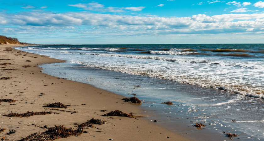 Лютая вонь: туристы «обожглись» об особо грязный пляж на Черноморском побережье  — Анапа покажется «Дубаем»