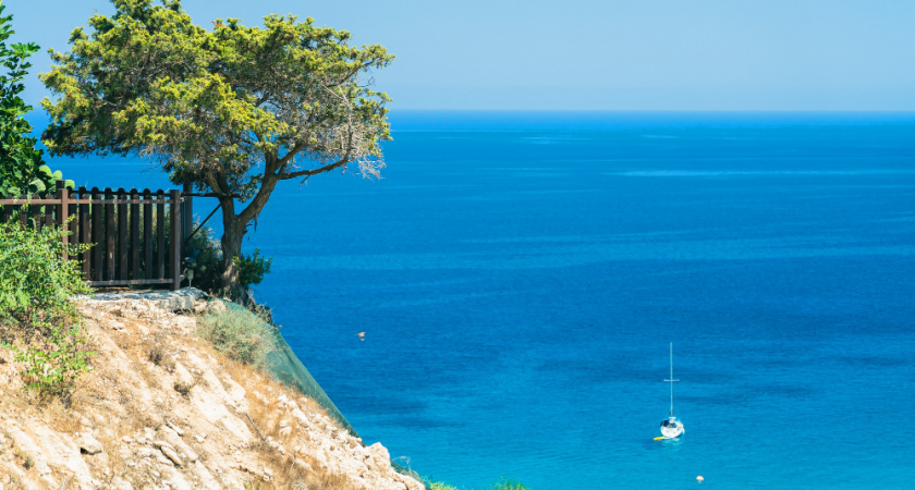 «Вся бухта — это помойка, в которой купаются единицы». Честные отзывы дали туристы, отдохнувшие в Геленджике