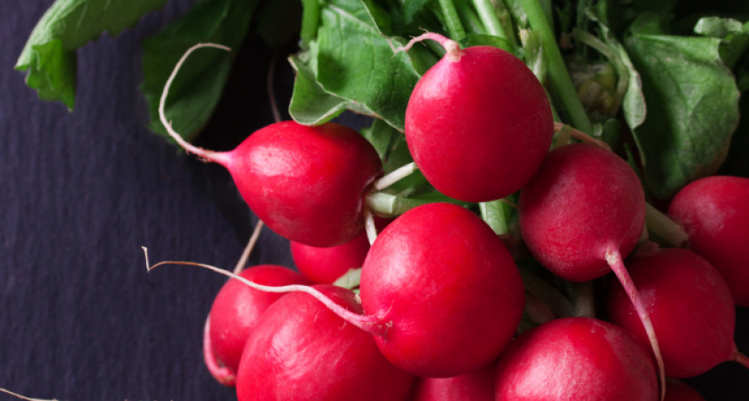 5 ложек на ведро — и редис начнёт расти как на дрожжах: будет крупным и сочным — мощная подкормка