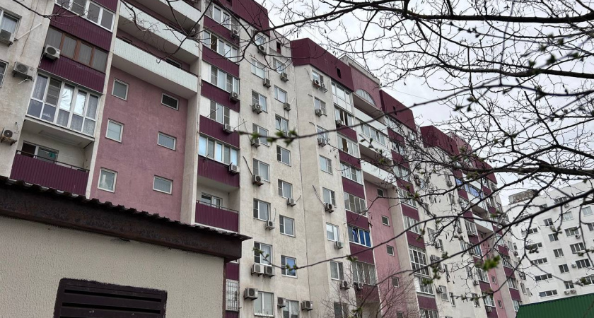 Смертельная угроза прямо под вашим окном: если эти деревья растут у вашего дома - нужно срочно избавляться