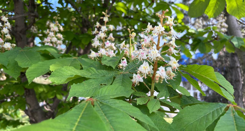 Тепло возвращается: синоптики обещают в Краснодарском крае до +23 и ни капли осадков