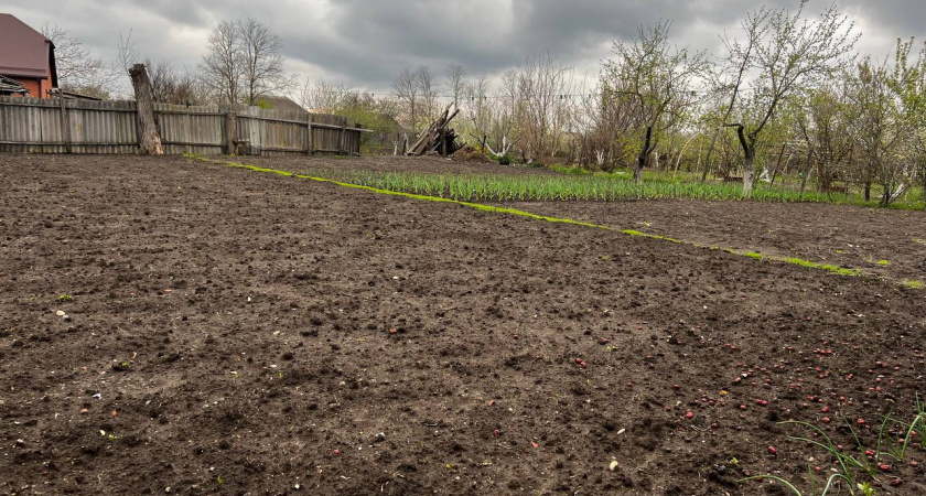 Не соль и уксус: траву на садовой дорожке уничтожил за 5 минут — дедовский способ избавил навсегда от сорняков на весь год