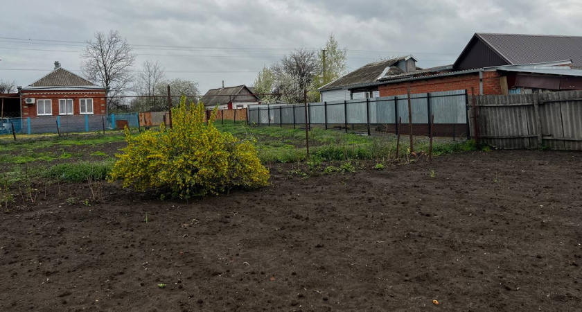 Секретное орудие: обычный копеечный препарат из аптеки спасает ваш участок от вредителей