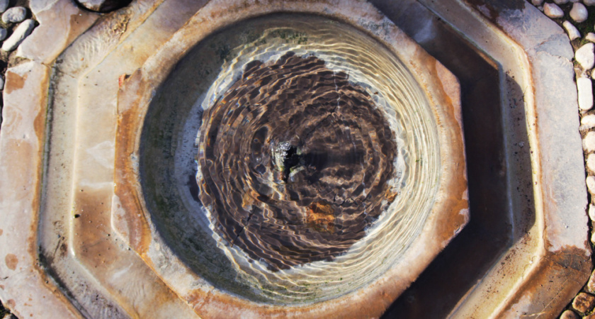 Выгребная яма на даче больше никогда не переполняется: простой и рабочий метод - гениальное решение от соседа