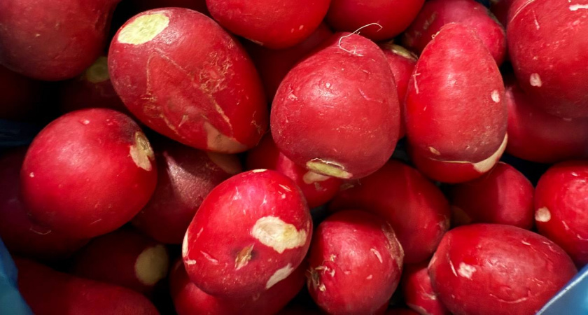 1 ложка в воду — и редис попрет как сумасшедший: вырастет сладким, сочным и крупным — мощный эликсир  