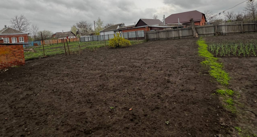 Сорняки в момент завянут: разведите 1 стакан на ведро и полейте вечером - утром свой огород ни за что не узнаете