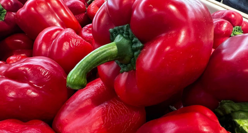 1 ложка в лунку — и перец вырастет как с картинки: сочный и сладкий — хоть сейчас отправляйте его на выставку