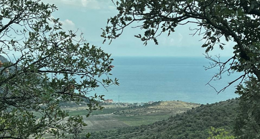 Местные скрывали этот пляж годами: лучший семейный курорт Кубани за копейки