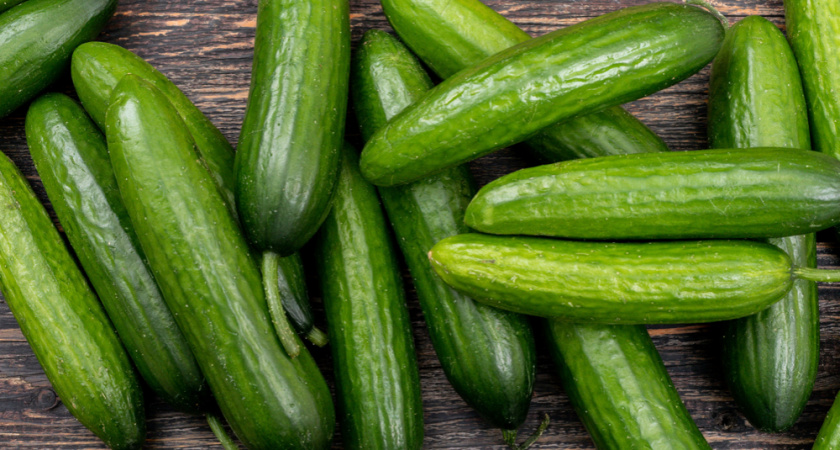 1 июня развожу 30 г в лейке и поливаю огурцы: они превращаются в зеленого халка — только успей сорвать, поспевают раньше, чем у соседей