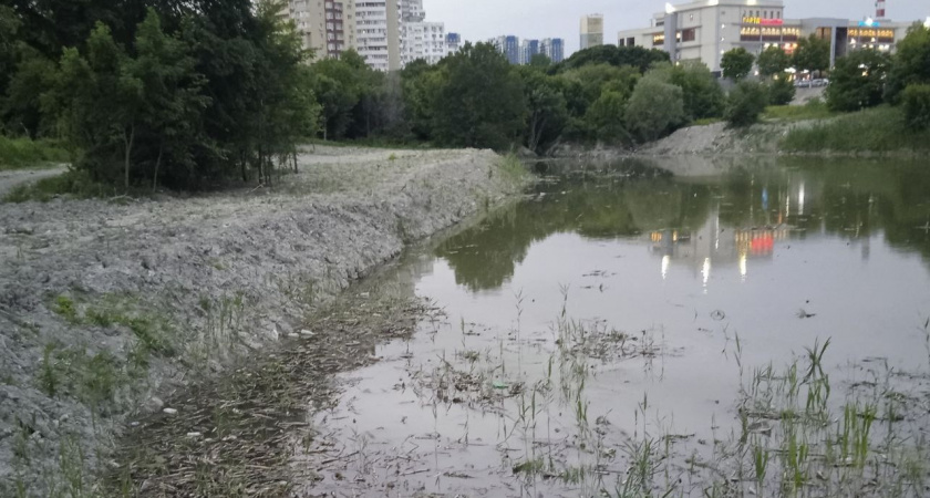 Холмы из засохшего ила и жижа с фекальным ароматом: новороссийцы в ужасе от того, во что превратись Южные пруды