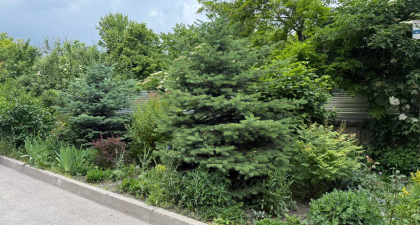 Синоптики в последний момент дали другой прогноз на июнь - будет еще хуже, чем мы думали