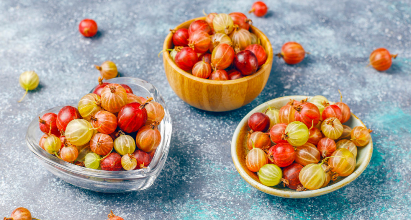 При появлении завязей крыжовнику — обязательно: 2 ложки в воду — и ягод нарастет уйма, будут крупнее сливы и слаще, чем мед