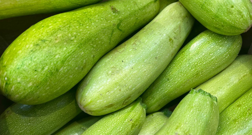 Маленький секрет опытных огородников: что кабачки очень любят больше компоста