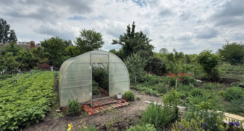 Сорняки ничем не обливаю — исчезают за одну секунду: жалею, что раньше не знала о таких супер помощниках