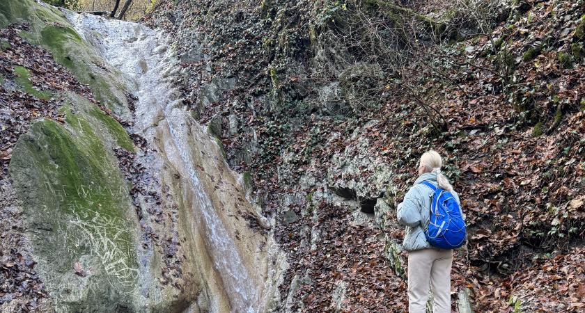 Денежный канал откроет путь к небывалому богатству: звезды выбрали главных счастливчиков июня