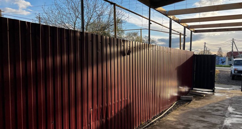 Не забор, а мечта любого дачника: забудьте о заборе из профлиста — есть более рабочий способ отгородиться от соседей