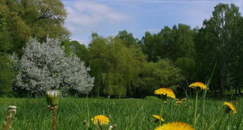 Припечет по полной: на Кубани обещают до +37 в тени