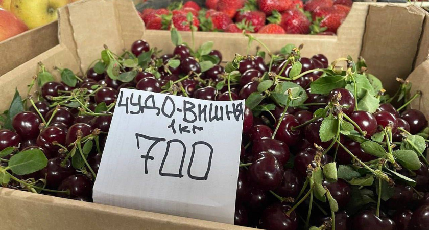 В Краснодарском крае пошла черешня — но по "золотым" ценам
