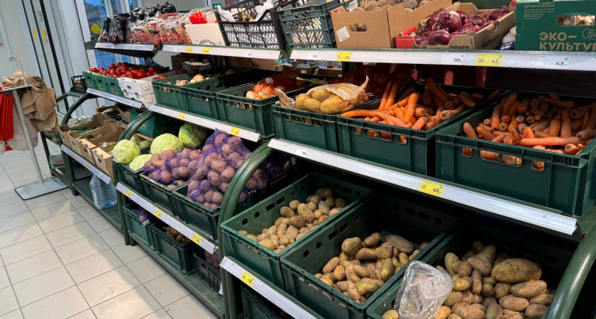 Овощ, который напрочь убивает почки: в Европе его не переваривают, а в России до сих пор добавляют в пищу