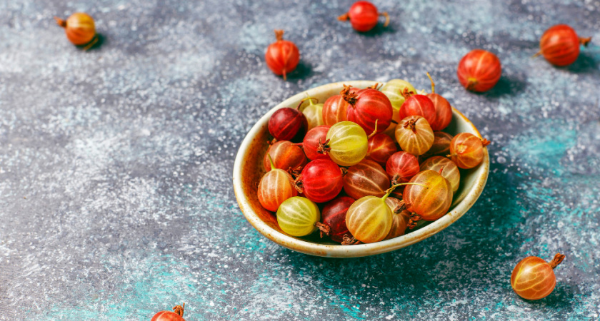 Крыжовник дуреет с этой прикормки: топ лучших советов для выращивания ягод слаще меда