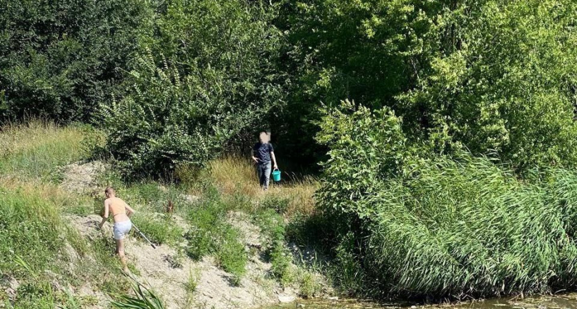 Неужели на суп? Неизвестные ловят красноухих черепах на «Южных прудах» в Новороссийске 